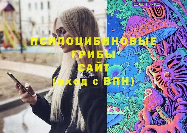ГАЛЛЮЦИНОГЕННЫЕ ГРИБЫ Лиски