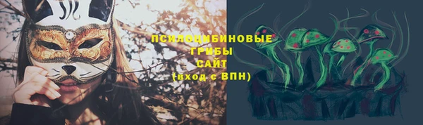 ГАЛЛЮЦИНОГЕННЫЕ ГРИБЫ Лиски