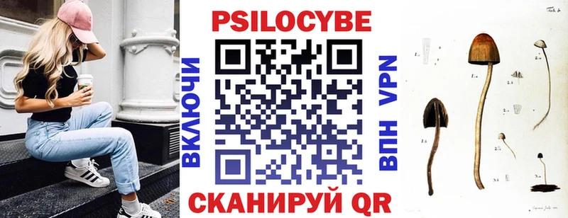 Галлюциногенные грибы Psilocybine cubensis  Купить закладки  Электросталь 